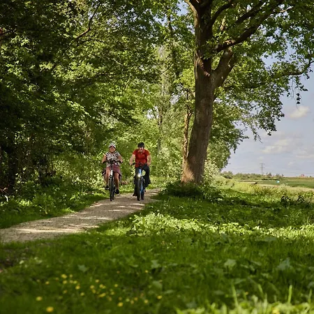 Wellness Retreat In Nature, Cleaning Included Holiday home Zevenhuizen (Zuidplas)